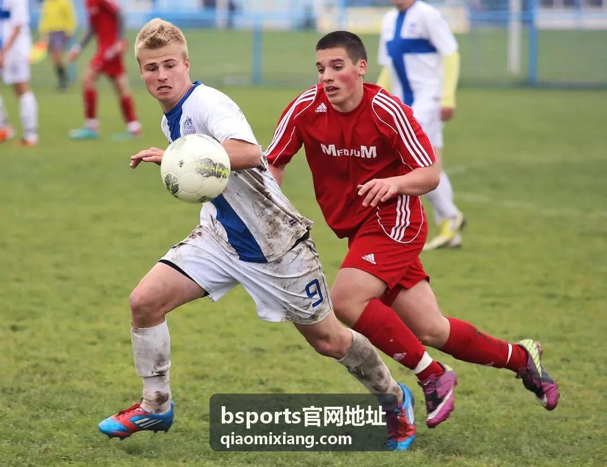 bsports官网地址 访客头像二